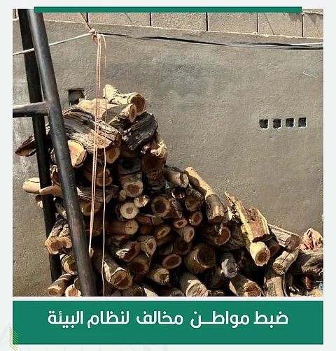 «الأمن البيئي» تضبط مخالفًا لنظام البيئة لاستخدامه حطبًا محليًا في أنشطة تجارية في منطقة مكة المكرمة