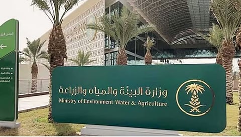 «البيئة» تعلن إنشاء 7 محطات لتربية ملكات النحل وإنتاج الطرود وتشغيلها العام المقبل