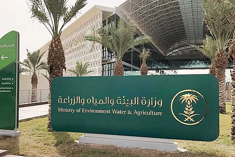 «بيئة حائل» تناقش رفع إنتاجية وجودة العسل الوطني