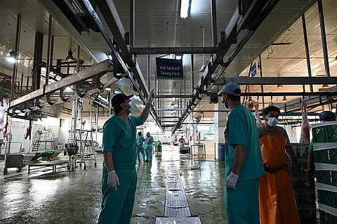 «وقاء» يواصل أعماله الميدانية في مكة المكرمة والمدينة المنورة والمشاعر المقدسة