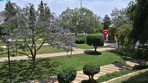 600 حديقة تستقبل المتنزهين في عسير خلال إجازة عيد الأضحى