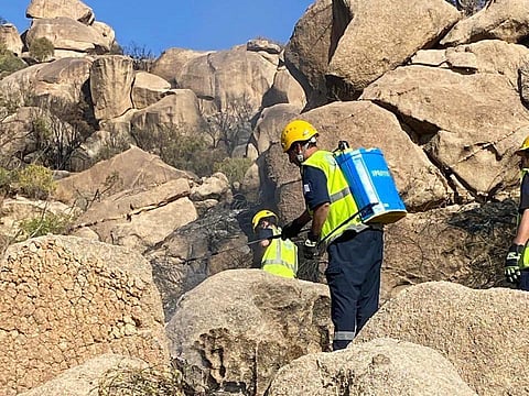 الدفاع المدني: إخماد حريق في أشجار بجبل بثرة دون إصابات
