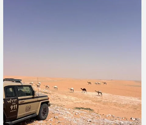 محمية الإمام عبدالعزيز بن محمد الملكية
