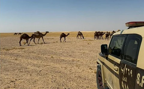 محمية الملك عبدالعزيز الملكية