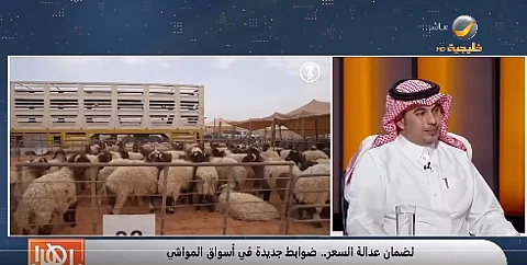 ثامر الحصان