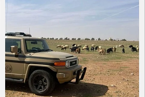 ضبط مواطن لارتكابه مخالفة رعي في محمية الإمام تركي بن عبدالله الملكية
