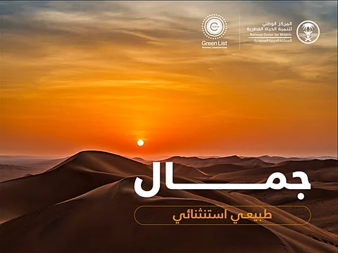 محمية عروق بني معارض.. تراث طبيعي عالمي يعكس روعة التنوع البيئي في صحراء المملكة
