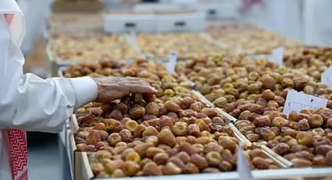 بأكثر من 8 ملايين نخلة و80 صنفًا.. الرياض تُعزّز إنتاج المملكة من التمور
