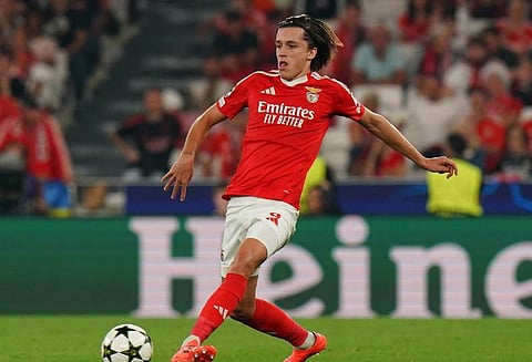 ألفارو كاريراس