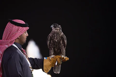 الرياض تستقبل نخبة مزارع الصقور عالميًا للمشاركة في المزاد الدولي 2025
