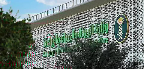 بسبب الحشرات النافعة.. تنبيه من «الإرشاد الزراعي» بشأن استخدام المبيدات