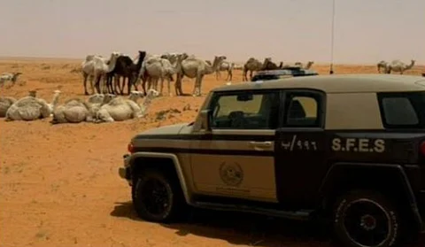 محمية الإمام تركي بن عبدالله الملكية