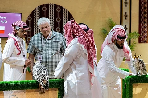 صقارون دوليون يثمنون تسهيلات نادي الصقور في نقل واستضافة الصقور المشاركة بالمزاد الدولي لمزارع الإنتاج