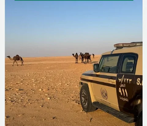 ضبط مواطن لارتكابه مخالفة رعي في محمية الإمام عبدالعزيز بن محمد الملكية