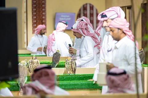 المزاد الدولي لمزارع إنتاج الصقور 2025 يختتم فعالياته بمبيعات تجاوزت 13 مليون ريال