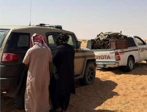 ضبط مخالفين لنقلهما حطبا محليا في محمية الإمام تركي بن عبدالله الملكية