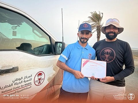 لإنقاذه دولفين.. "الحياة الفطرية" يكرم جوالًا بحريًا