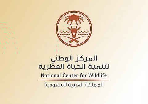 «الحياة الفطرية»: الصيد يخضع للأنظمة والقوانين الوطنية.. والرقابة مستمرة