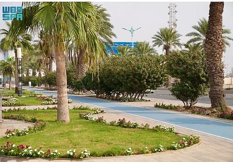 محافظة صبيا.. وجهة سياحية واعدة بتنوعها الثقافي وجمالها الطبيعي