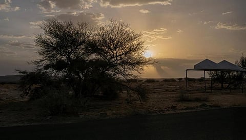 متنزه الأمير مشعل.. وجهة سياحية جاذبة للباحثين عن الطبيعة الخلابة والاسترخاء