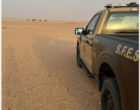 ضبط مواطن لارتكابه مخالفة رعي في محمية الإمام عبدالعزيز بن محمد الملكية
