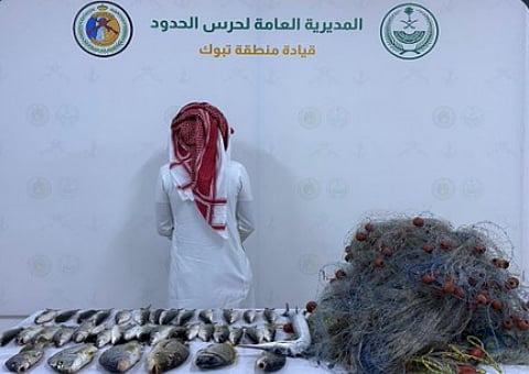 ضبط مخالف للائحة الأمن والسلامة لمزاولي الأنشطة البحرية في ضباء