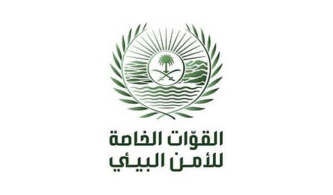الأمن البيئي