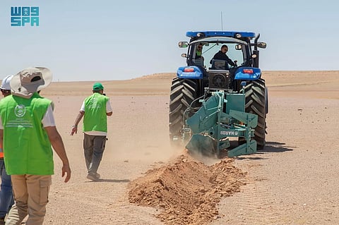 «الغطاء النباتي» يبدأ تأهيل المراعي الطبيعية في 33 موقعًا بالمملكة