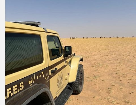 محمية الملك عبدالعزيز الملكية