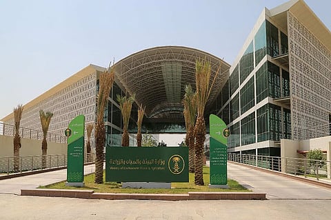 «البيئة» تطرح 4 فرص استثمارية لدعم قطاع الثروة الحيوانية بالرياض
