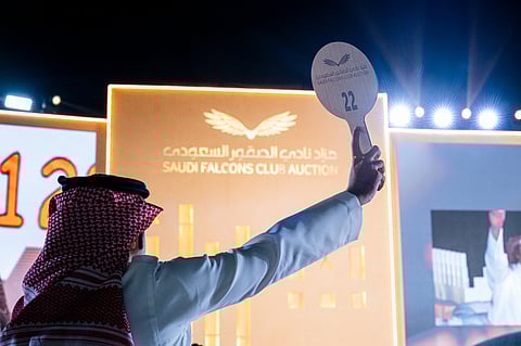 انطلاق معرض الصقور والصيد السعودي الدولي 2025 بأكثر من 23 فعالية.. ومشاركة دولية واسعة