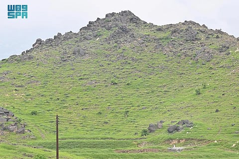 جازان "الطبيعة والرؤية".. تناغمٌ يُشكِّل ملامح التنمية المستدامة