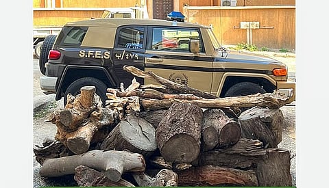 ضبط مواطن لاستخدامه حطبًا محليًا في أنشطة تجارية بمنطقة عسير