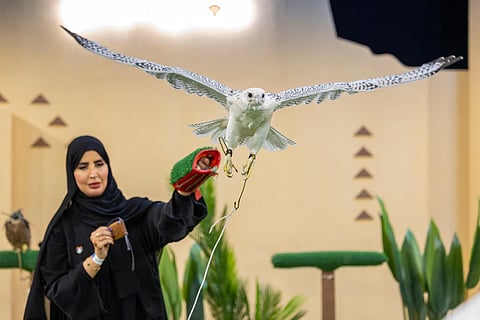 زوّار معرض الصقور والصيد السعودي الدولي 2025 يوثّقون لقاءهم مع الصقور بالصور التذكارية