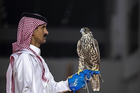 ثلاثة صقور منغولية تُباع بـ420 ألف ريال في معرض الصقور والصيد السعودي الدولي 2025