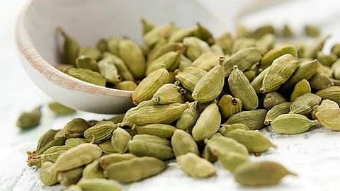 استشاري يحذر من الإفراط في «الهيل»: يسبب تهيج القولون ويضر المعدة والأمعاء