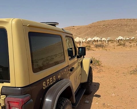 محمية الملك عبدالعزيز الملكية