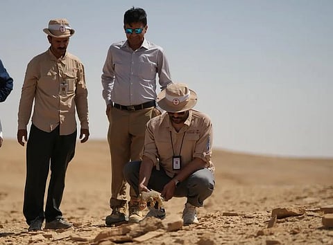 محمية الوعول