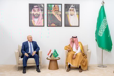 وزير الصناعة ونائب رئيس الوزراء للتنمية الصناعية المصري يناقشان توسيع الشراكات الصناعية بين البلدين