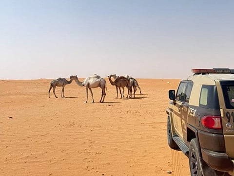 محمية الإمام عبدالعزيز بن محمد الملكية