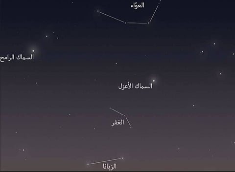 «الحصيني» مع بدء منزلة «السماك»: تقل الرغبة في شرب الماء وتنتشر أمراض الحساسية