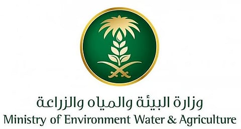 "بيئة تبوك" توقّع مذكرة تفاهم مع جمعية النحالين بالمنطقة لتعزيز الاستدامة البيئية