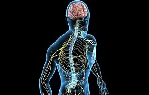 مستشفى الملك عبدالعزيز يوضح أعراض التصلب اللويحي وطرق التعامل معه