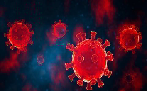 اكتشاف فيروس كورونا جديد في البرازيل قد يهدد بجائحة محتملة