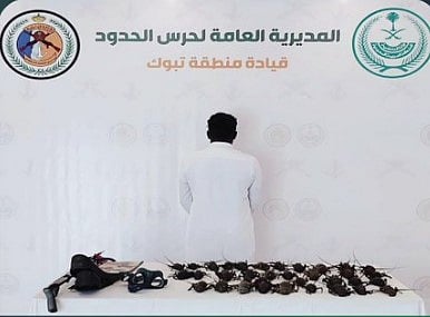 حرس الحدود بتبوك يضبط مواطنا مخالفًا للائحة الأمن والسلامة لمزاولي الأنشطة البحرية