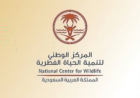 دراسة تكشف عن تنوع أحيائي غير مسبوق في البحر الأحمر