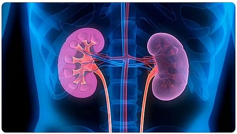 مستشفى أجياد الطوارئ يوضح طرق الوقاية من حصى الكلى