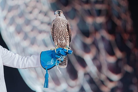 مزاد نادي الصقور السعودي