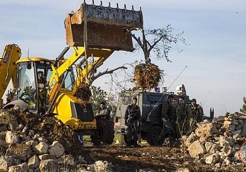 الاحتلال يجرف أراضٍ ويقتلع أشجار زيتون في بلدة بيتا