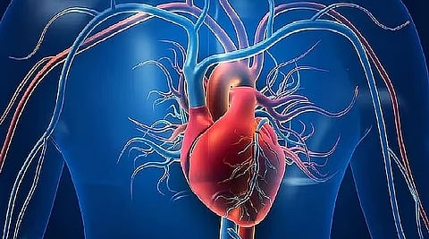 علماء يقترحون استخدام تطبيقات ذكاء اصطناعي لعلاج أمراض القلب